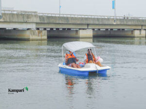 Pedal Boat Cruise