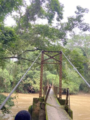 Osun - osogbo sacred grove